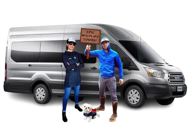Best of Sitka Tour Van